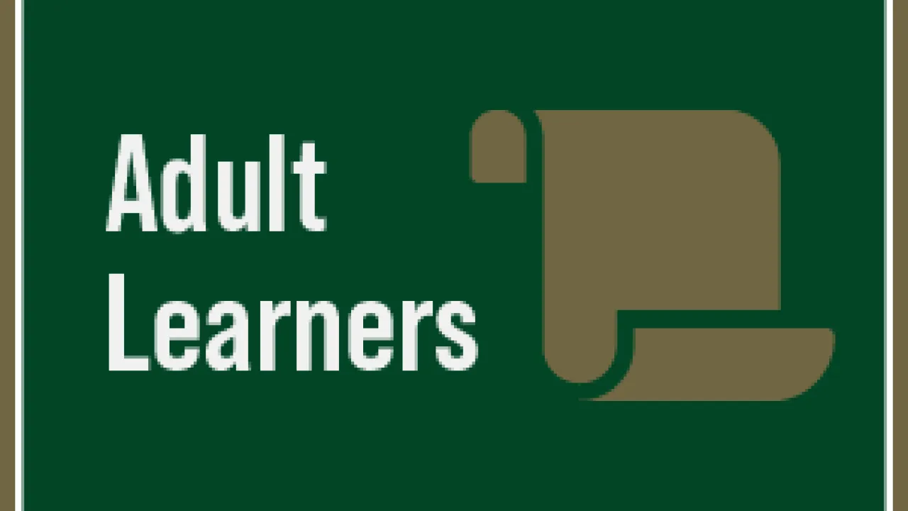 Adult Learners