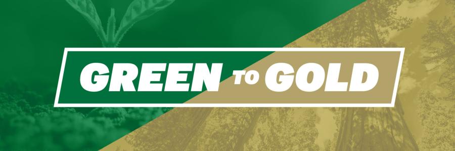 Green to Gold Text 